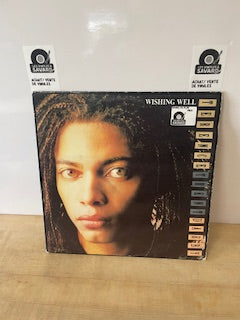 Terence trent d'arby wishing well ep