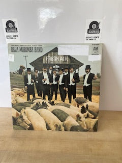 Baja marimba band fresh air