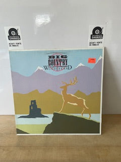 Big country wonderland EP
