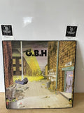 Charged GBH city attacked by rats