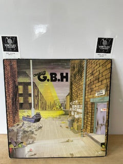 Charged GBH city attacked by rats